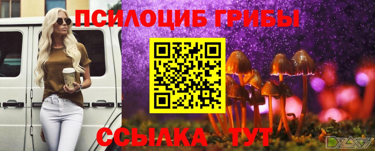 Нововоронеж  Галлюциногенные грибы Magic Shrooms  Вход с VPN 