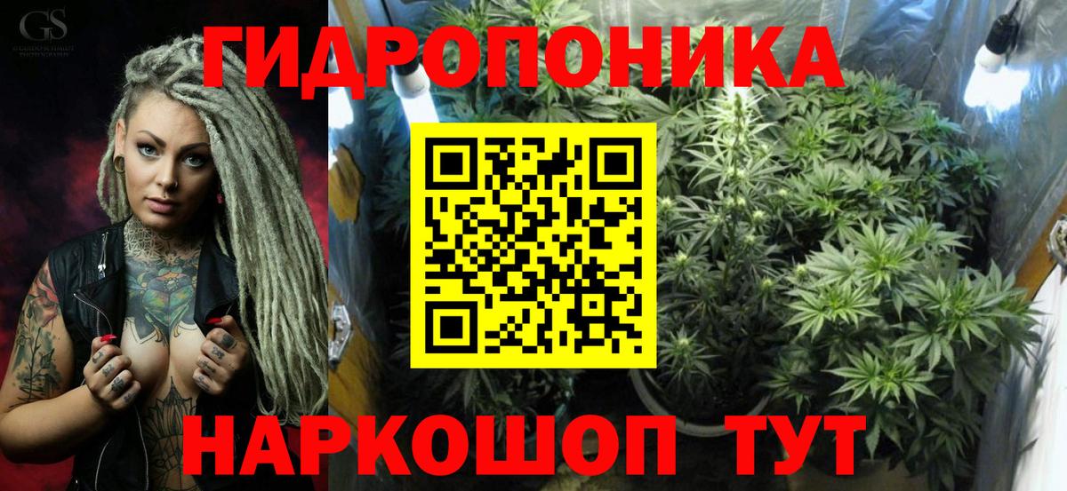 МАРИХУАНА сатива Нововоронеж